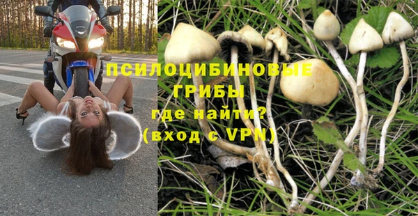 крисы Белоозёрский