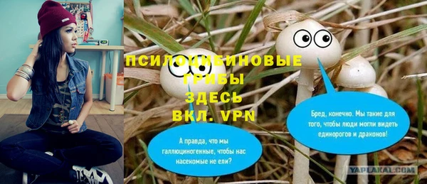 крисы Белоозёрский
