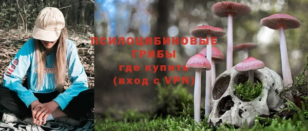 крисы Белоозёрский