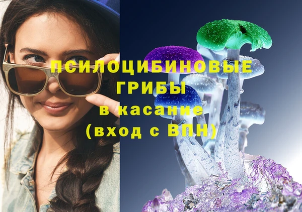 крисы Белоозёрский