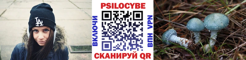 Псилоцибиновые грибы GOLDEN TEACHER  купить наркоту  OMG онион  Салаир 